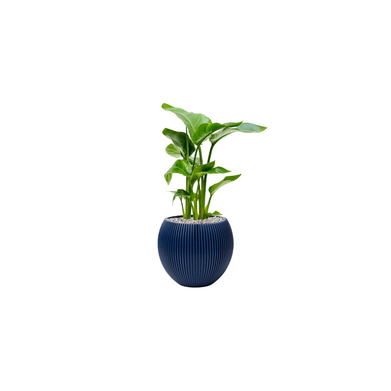 Kvetináč Capi Nature Groove special vase ball modrý 22x18 cm