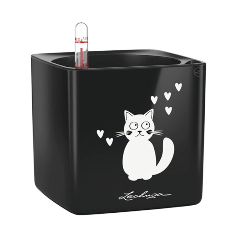 Lechuza Cube Glossy CAT 14 All inclusive set mačka čierny kvetináč 14x14x14 cm