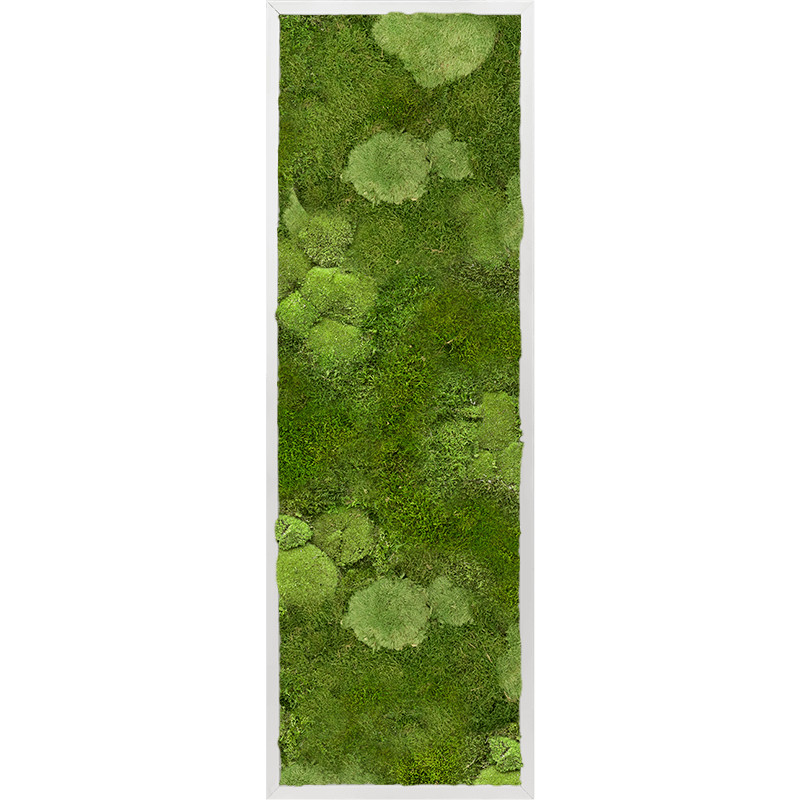 Machový obraz Moss painting hliníkový rám 30% bobky, 70% ploský mach 120x40x6 cm