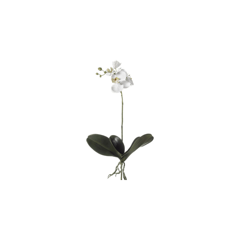 Umelá orchidea Phalaenopsis biela 55 cm