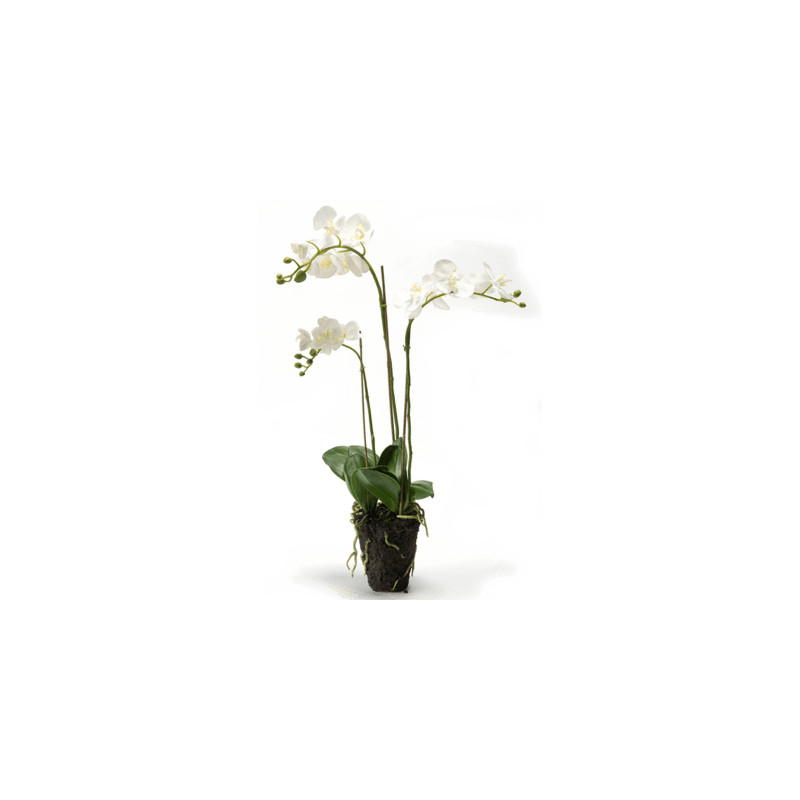 Umelá orchidea Phalaenopsis biela 75 cm
