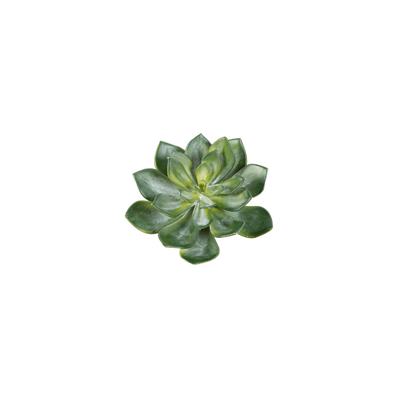 Umelá rastlina Echeveria zelená 15 cm
