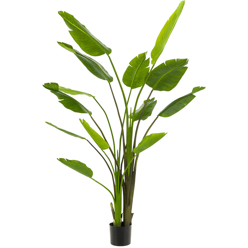 Umelá rastlina Strelitzia Nicolai (13 lvs) 180cm