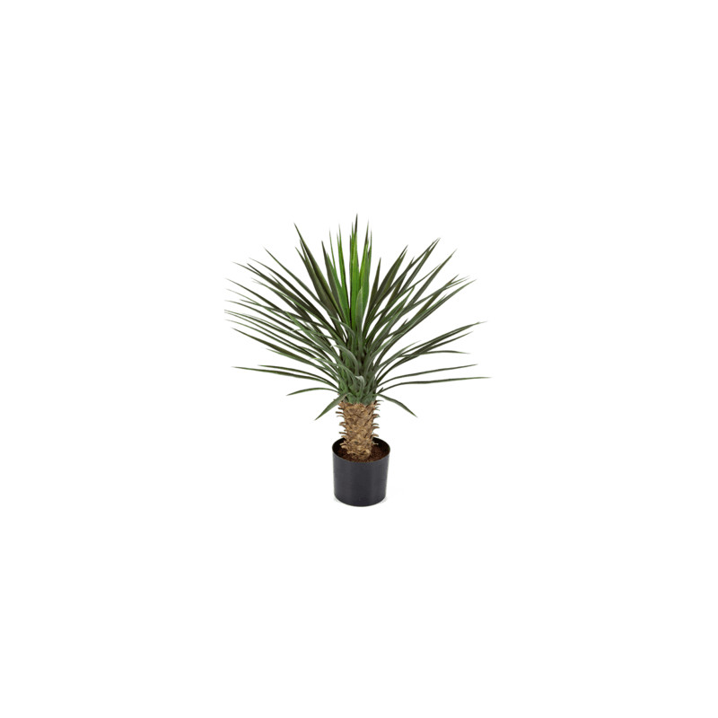 Umelá rastlina Yucca rostrata 75 cm