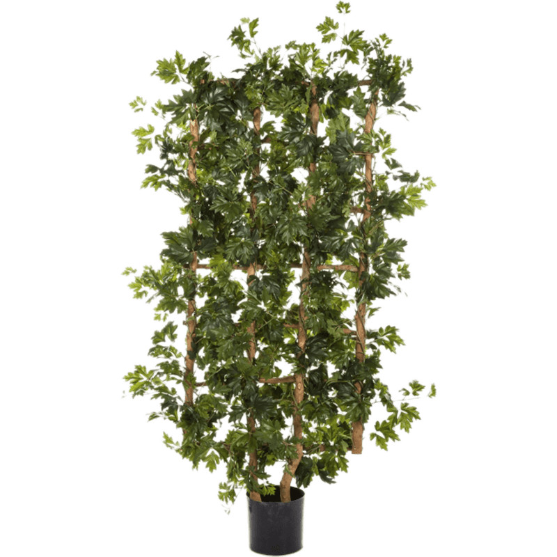 Umelá rastlina Cissus plot 80x120 cm