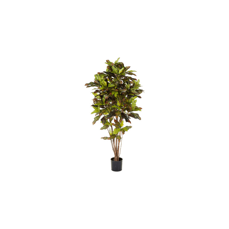 Umela rastlina Croton excelent branched 180 cm