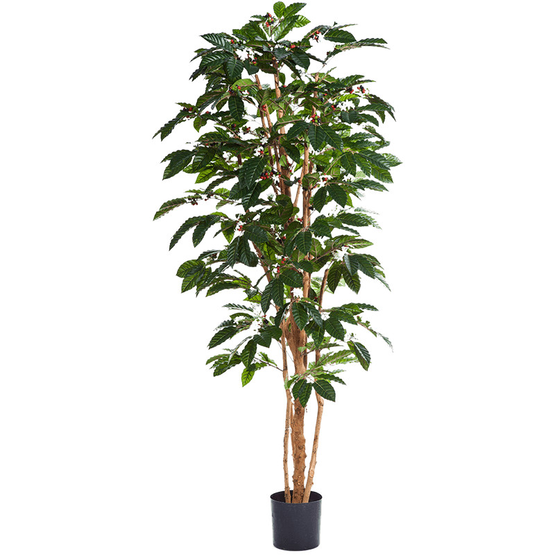 Umelá rastlina Kávovník Coffea arabica 120 cm