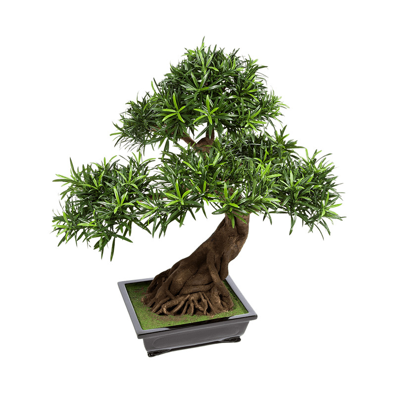 Umelá rastlina Podocarpus bonsai 80 cm