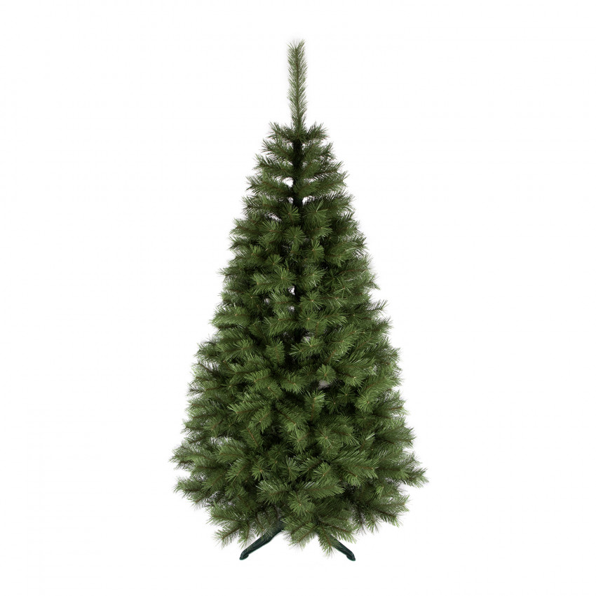 ROY Vianočný stromček borovica občajná, 220 cm