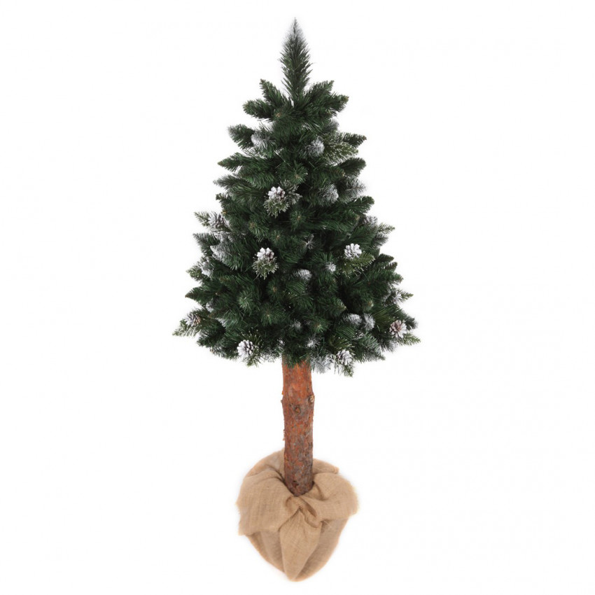 ROY Vianočný stromček borovica strieborná so šiškami De Lux, na kmeni, 120 cm