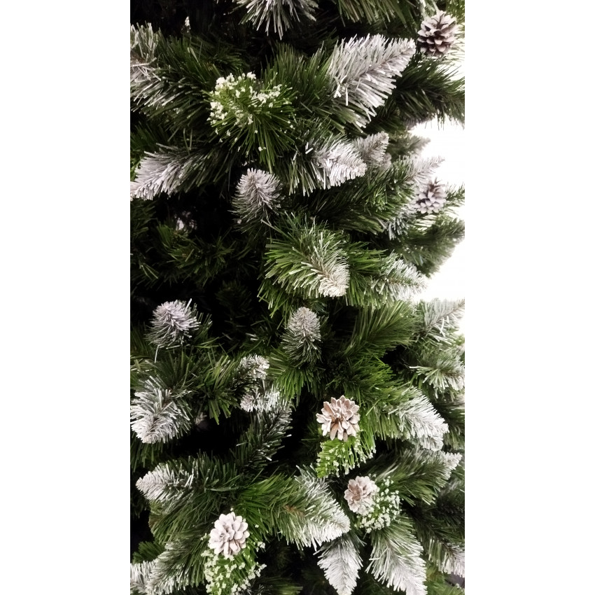 ROY Vianočný stromček borovica strieborná so šiškami De Lux, na kmeni, 180 cm