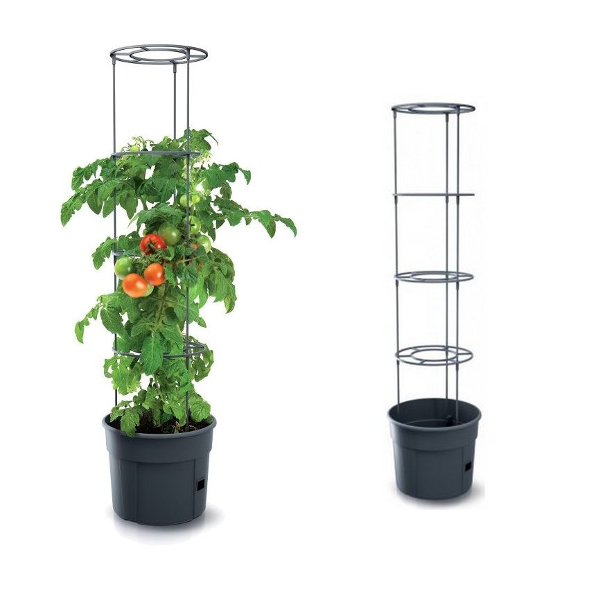 Kvetinaáč na paradajky TOMATO GROWER antracitový 29,5cm/115,2cm