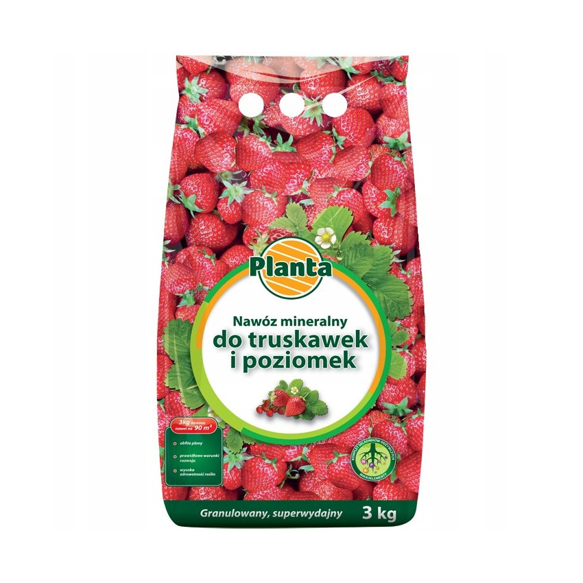 PLANTA Hnojivo na jahody a lesné jahody 3kg