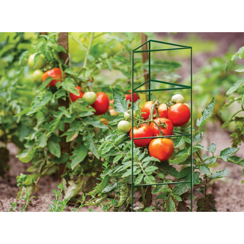 Podpera pre paradajky 120 cm zelená