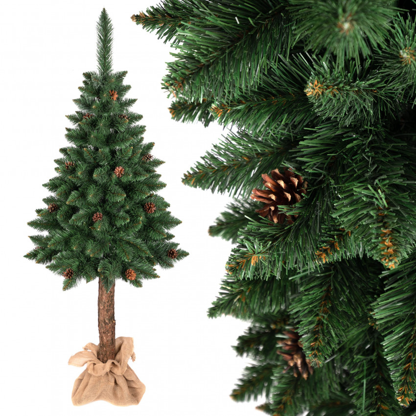 Vianočný stromček borovica klasická na kmeni so šiškami 150cm