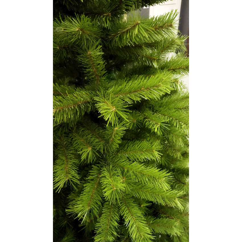 ROY Vianočný stromček smrek obyčajný 150 cm