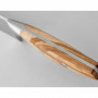 Nůž steakový Wüsthof Amici 12 cm