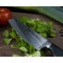 Nůž na zeleninu IVO Premier 14 cm 90154.14