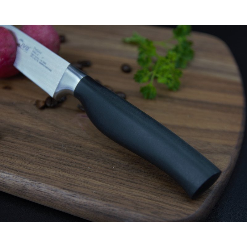Nůž na zeleninu IVO Premier 10 cm 90022.10