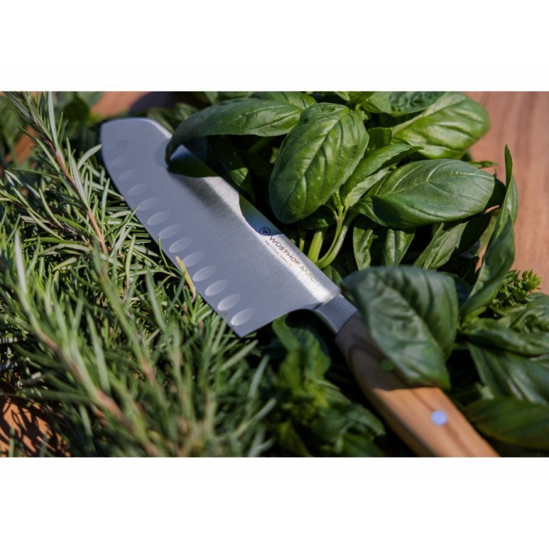 Nůž santoku Wüsthof Amici 17 cm